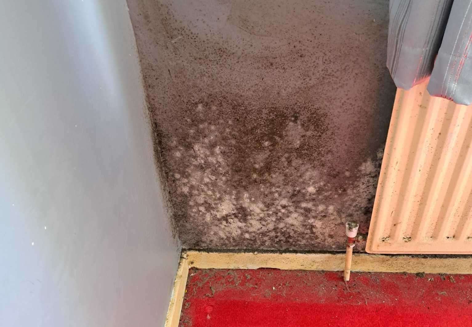 Mould in Vicky's home