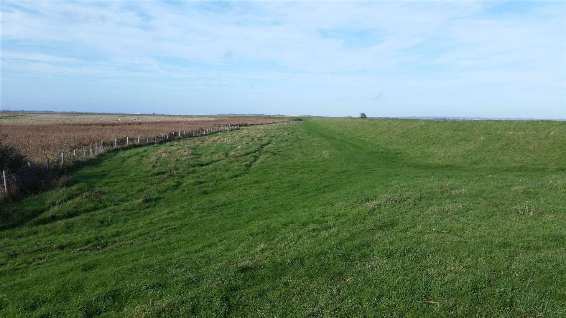 Part of the proposed route on a farm track through the Cleve Hill site in Graveney. Picture: Brian Jefferys