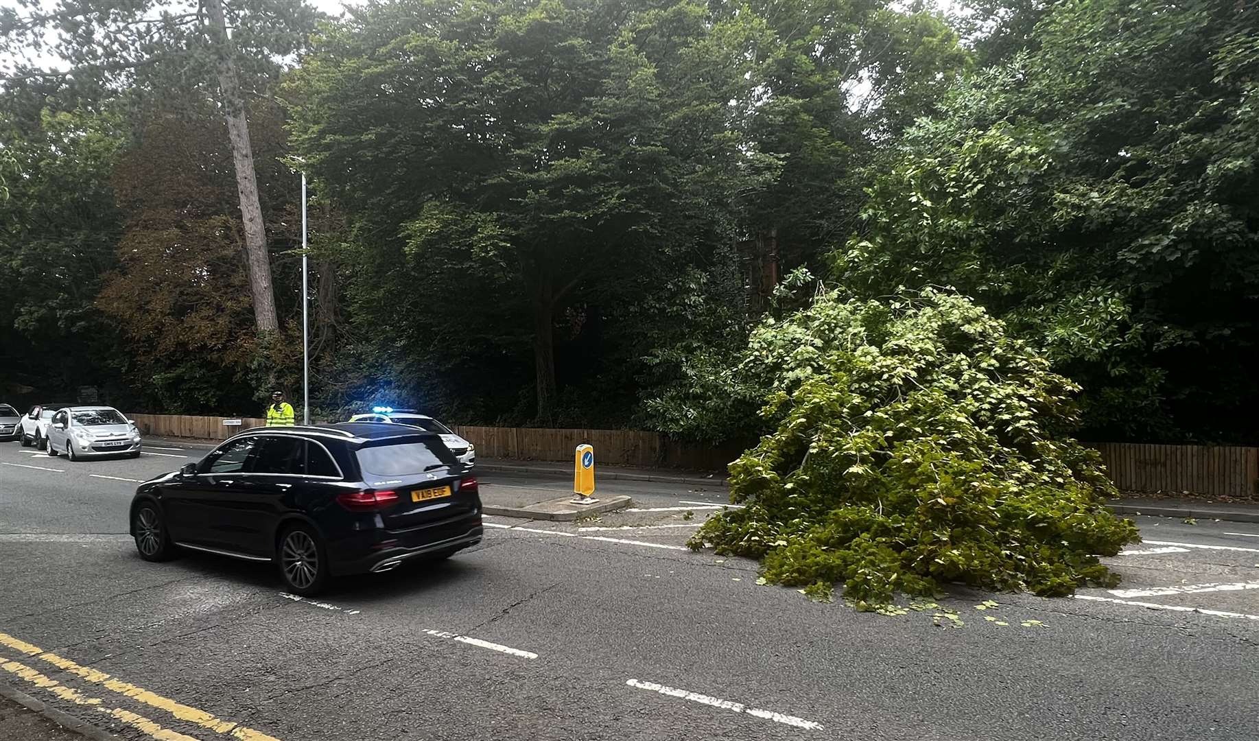The tree is blocking the eastbound carriageway in Canterbury Road, before the junction with Simone Weil avenue. Picture: Steve Salter