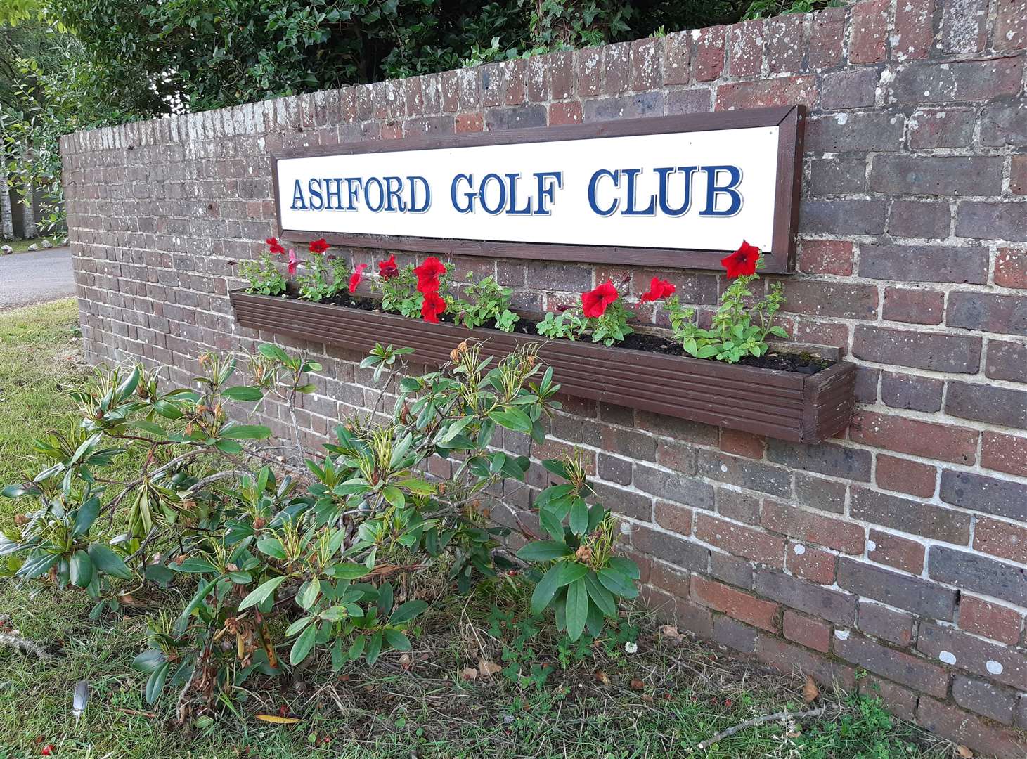 Ashford Golf Club bosses say they have no plans to move home