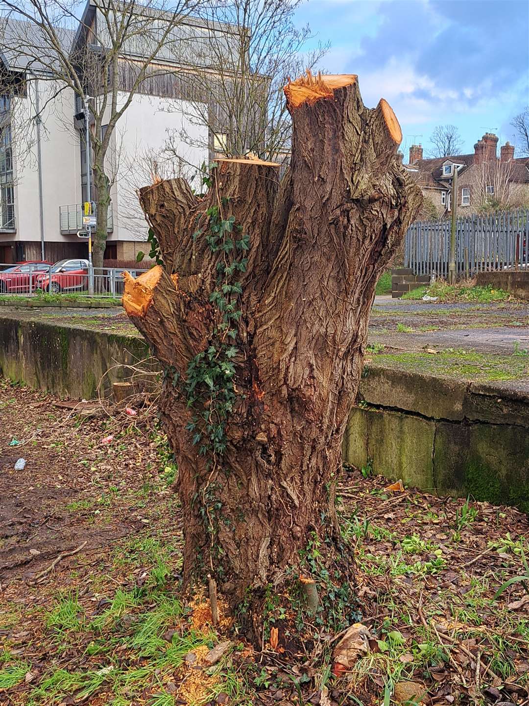 A stump left at the foot of Wharf Road