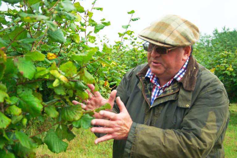 Potash Farm owner and Kentish cobnut grower Alexander Hunt