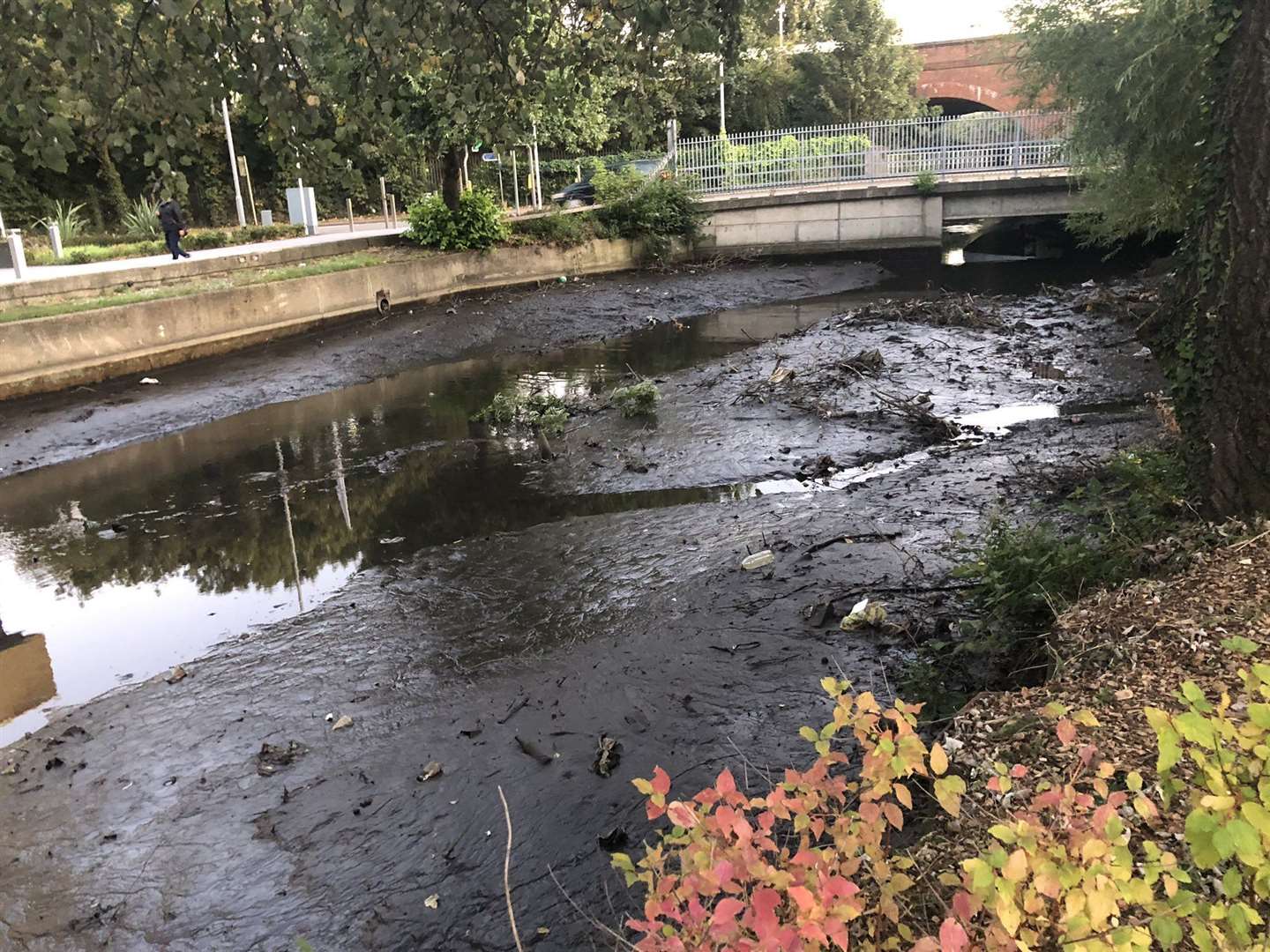Environmental officers were called out to the River Darent earlier this month following reports of distressed fish and sewage.