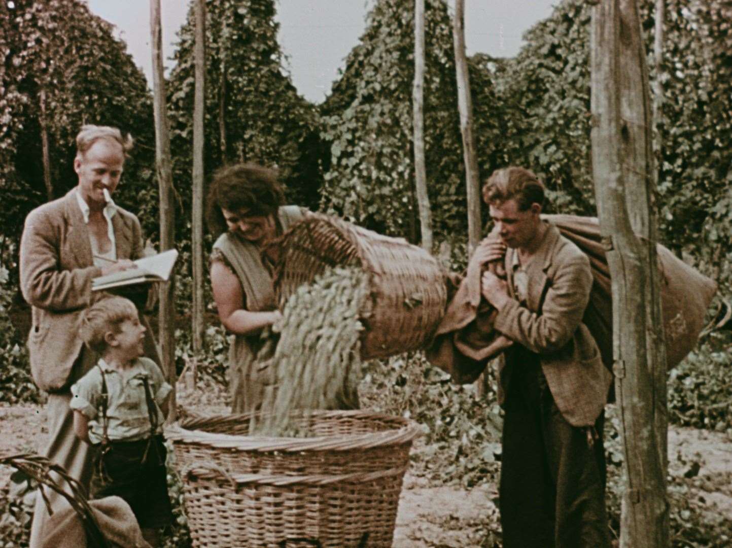 Stills of an early colour film of hop farming, taken on September 6, 1937. Picture: ‘Hop Picking at Mr Whiteman's Garden Tyler Hill, Canterbury’. Sydney Bligh (Screen Archive South East at the University of Brighton) with thanks to Tim Jones, Canterbury Christ Church University