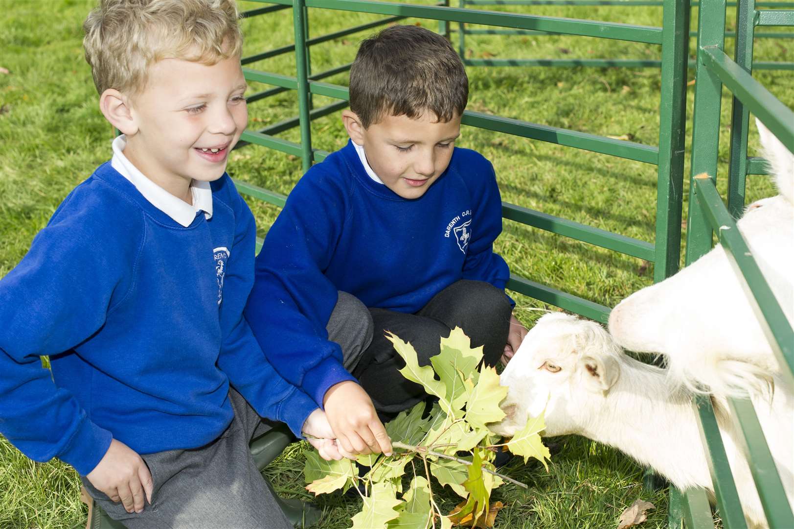 Callum and Callum, both six, taking part in farming week at Darenth Community Primary School