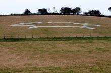 The big sheep art project at Humphrey's Hill, Sheppey, which Nicole Mollett was involved in