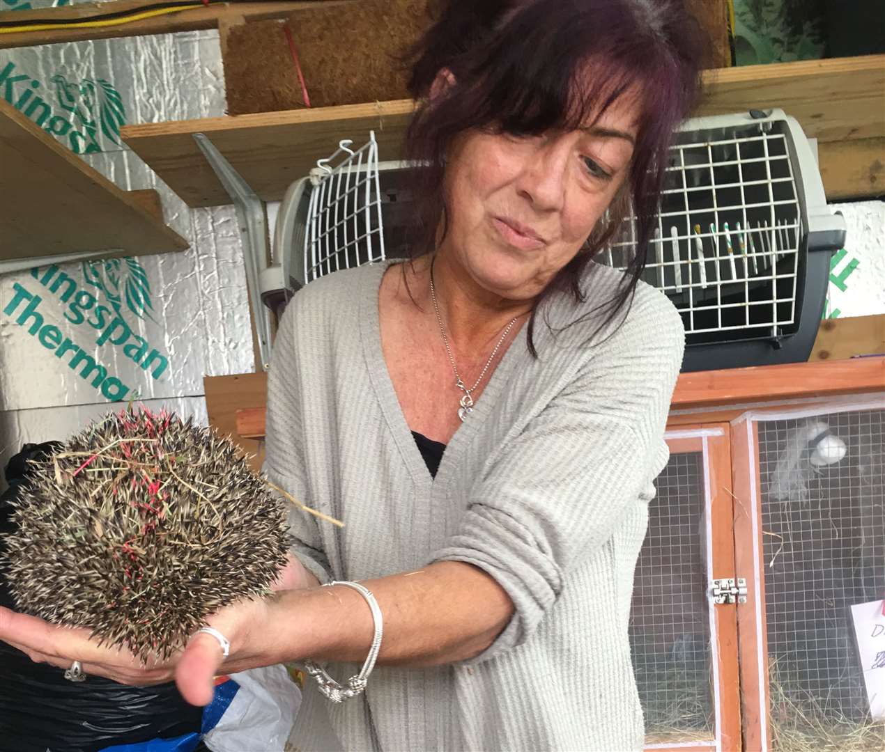 Lisa White, from Folkestone, with one of the hedgehogs in her care