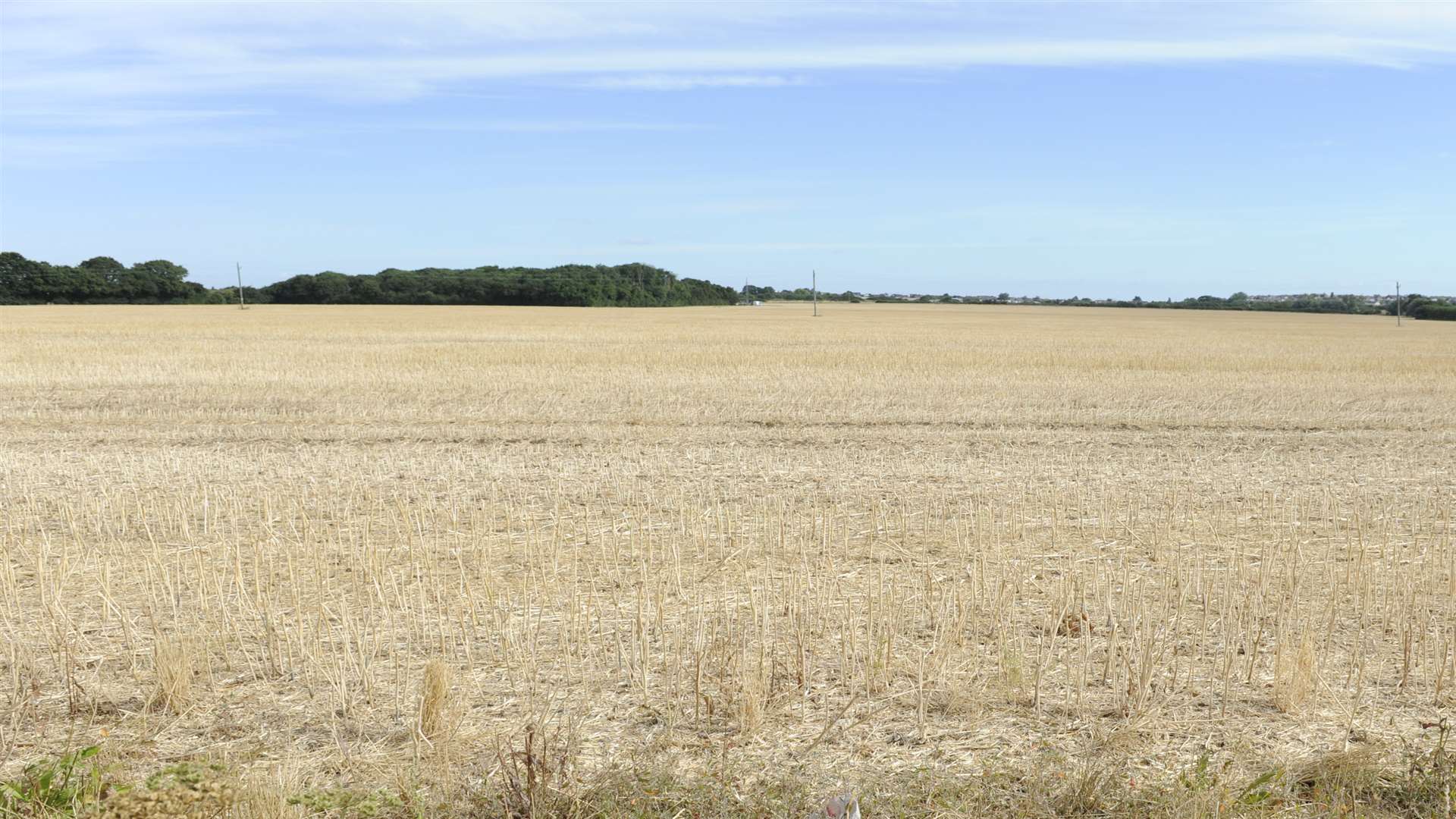 This field could be filled with solar panels powering thousands of homes