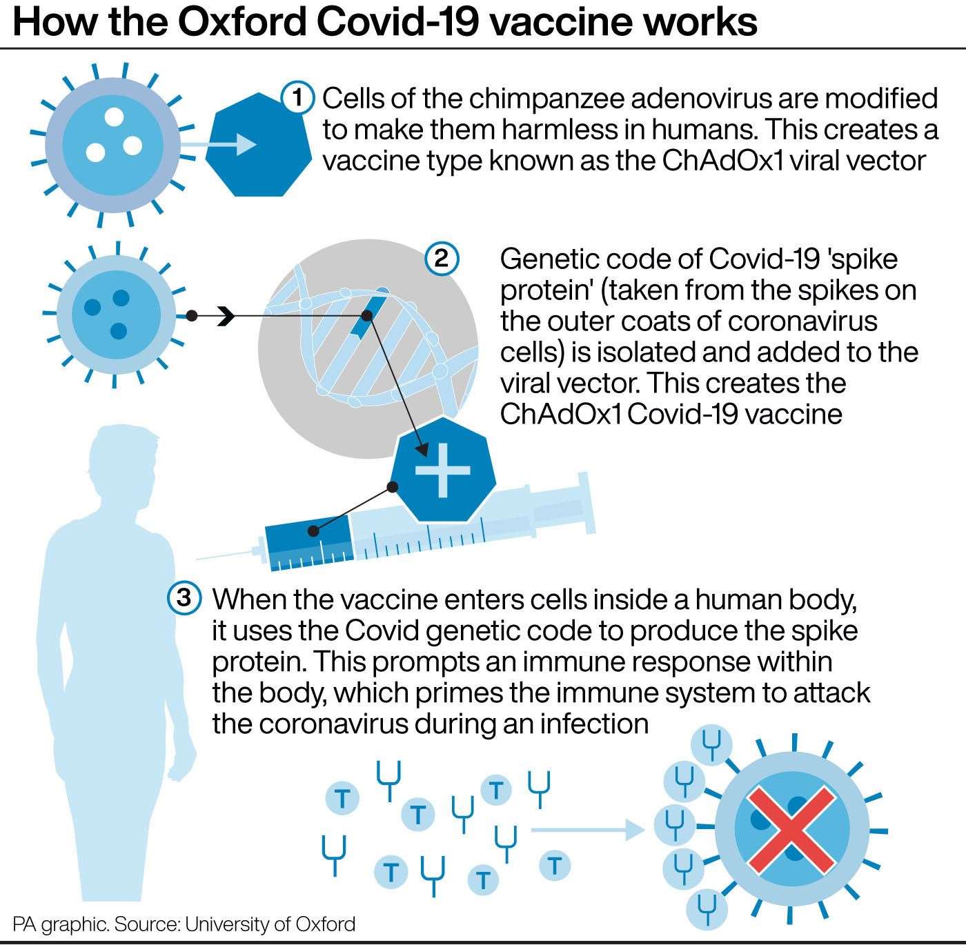 How the Oxford Covid-19 vaccine works. Photo: PA Graphics.