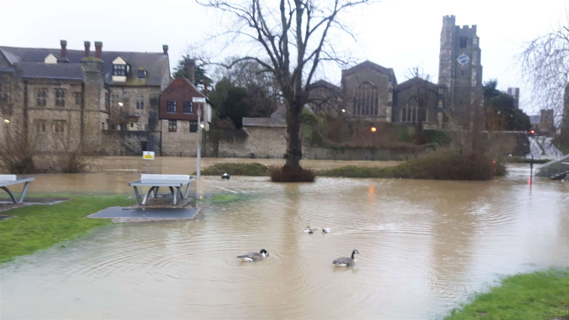 Flooding at Lockmeadow in Maidstone earlier this month