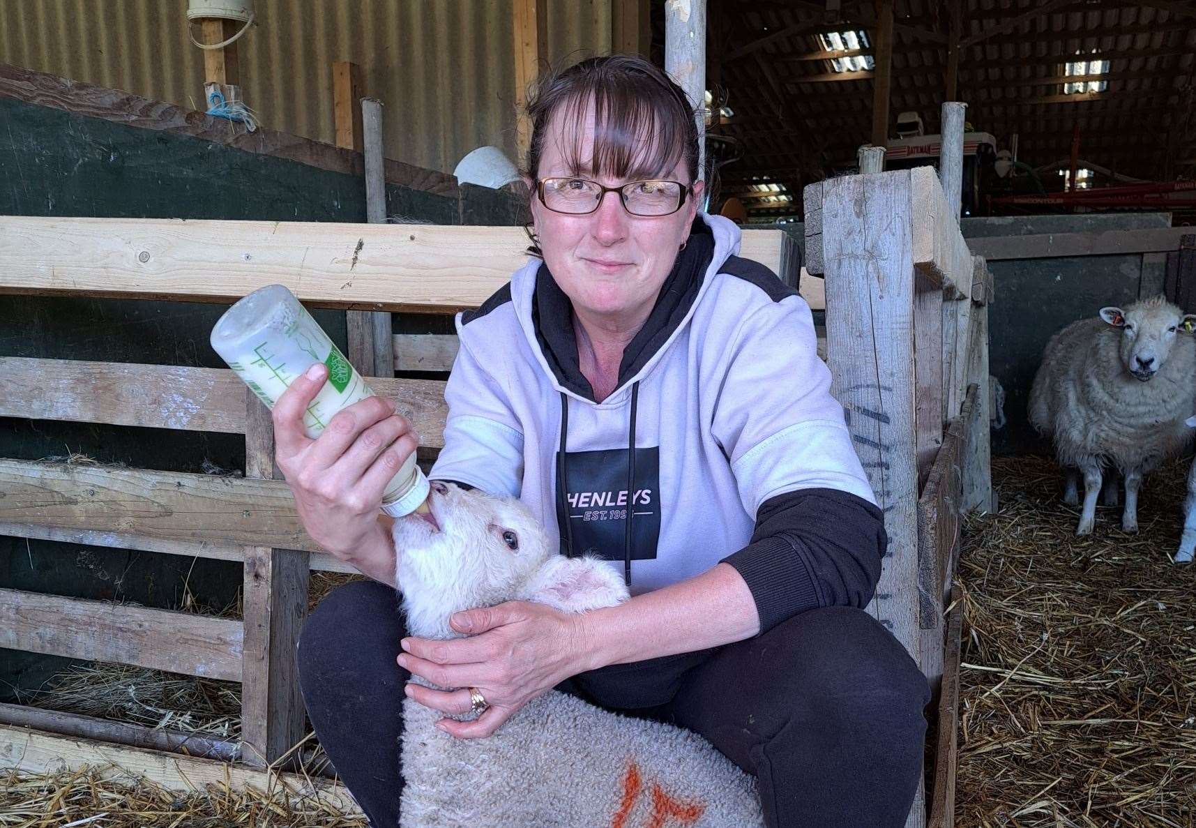 Donna Walker-Hudson is calling for dog owners to take better care around livestock. Picture: Donna Walker-Hudson
