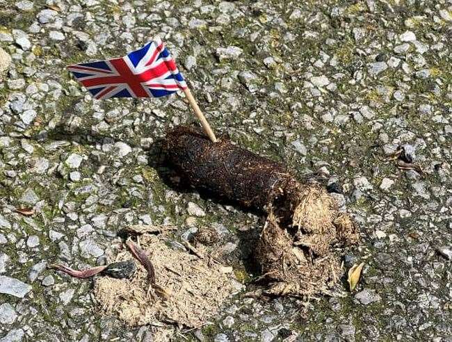 Andrew Morton spotted this dog poo by the job centre in Margate. Picture: Andrew Morton
