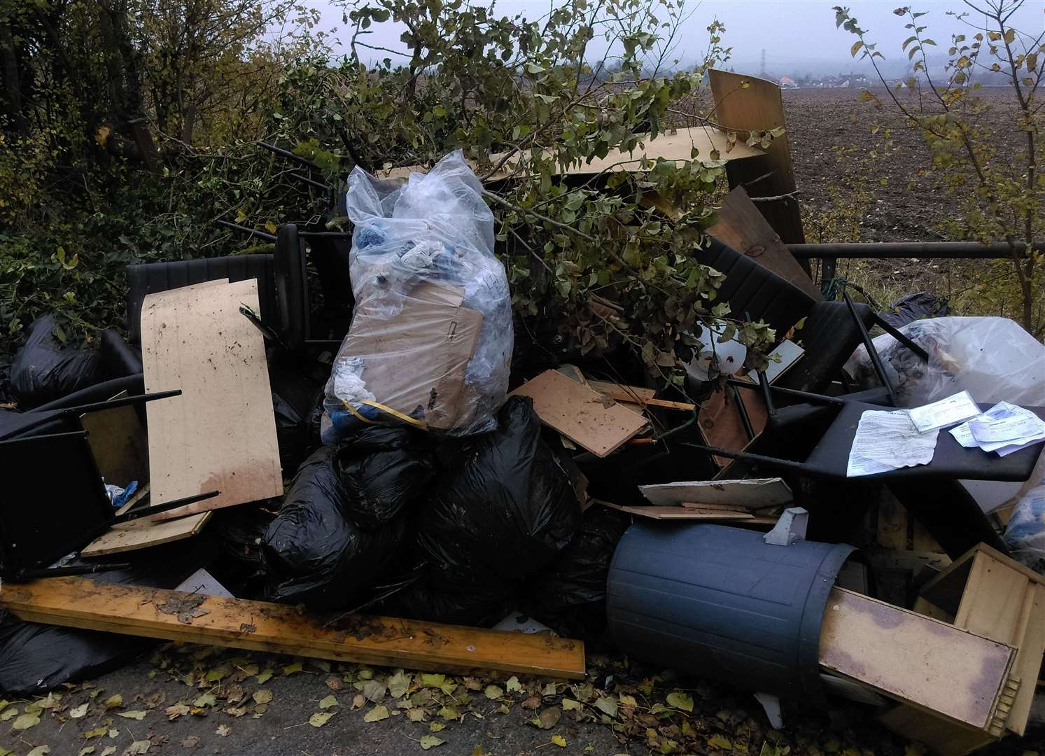 Romeo Wickham dumped the waste in Gill Lane in South Darenth