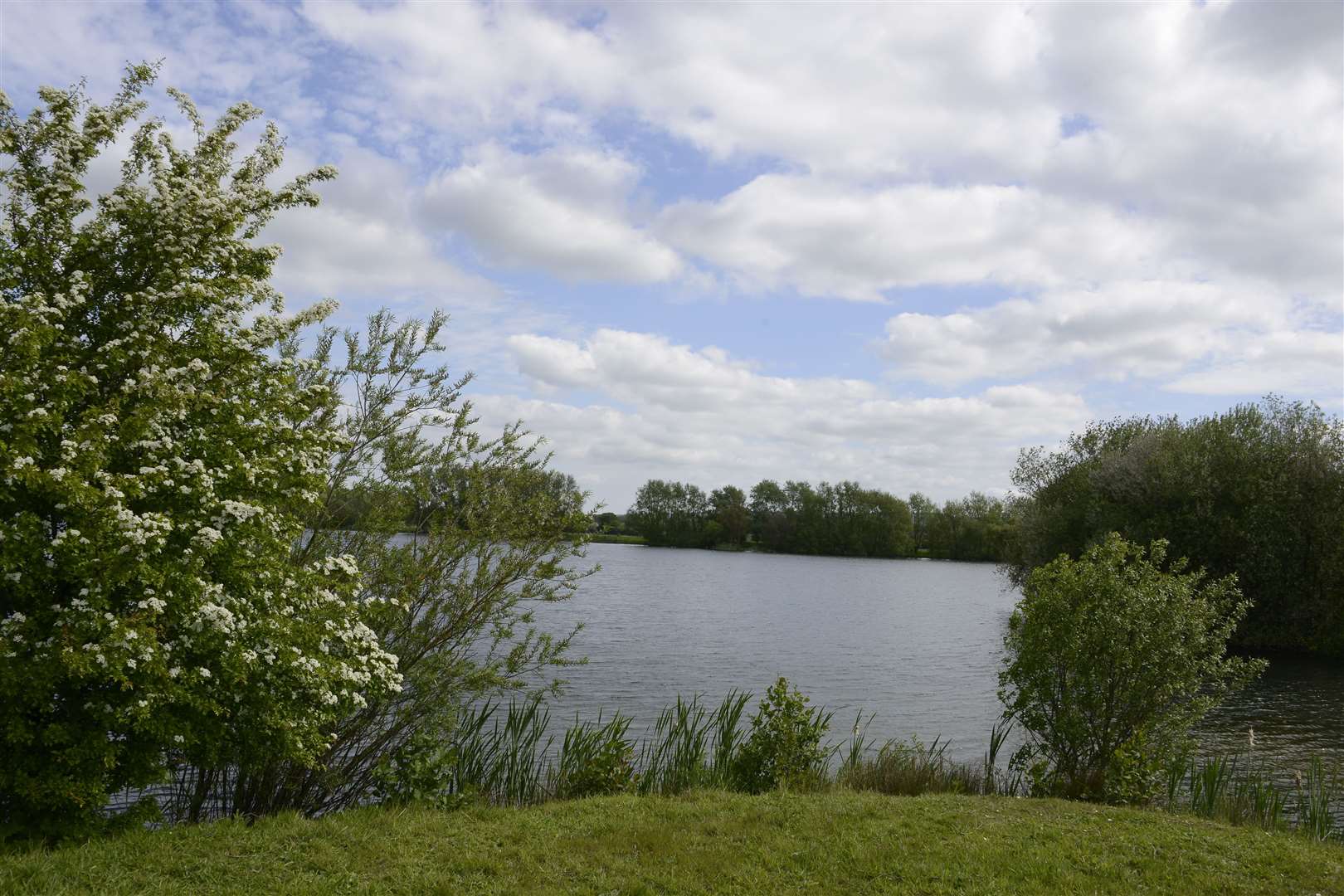 Ashford Conningbrook Lakes Country Park. Picture: Paul Amos