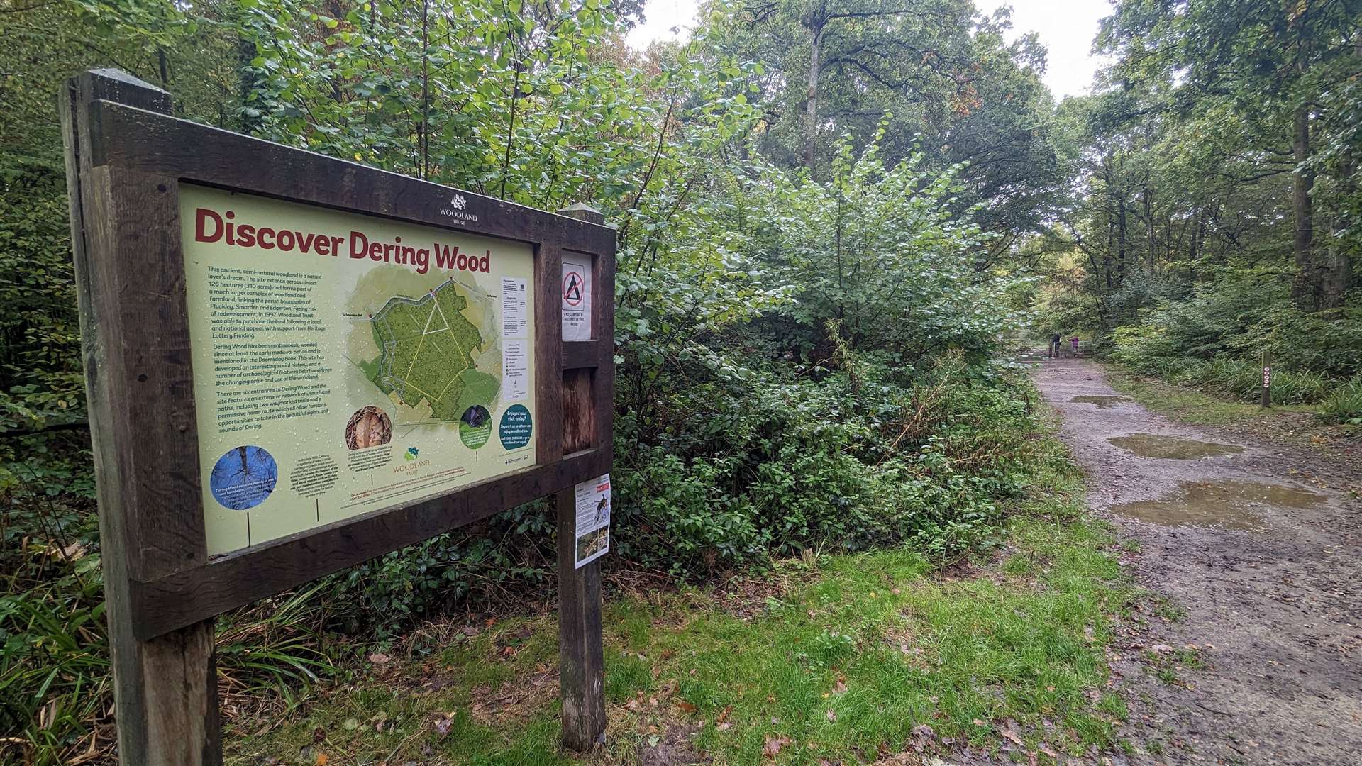 An information board at the entrance to Dering Wood