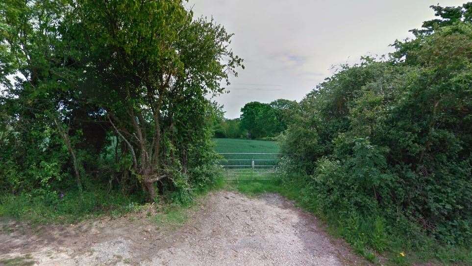 The land is currently made up of fields and woodland. Photo: Google Street View