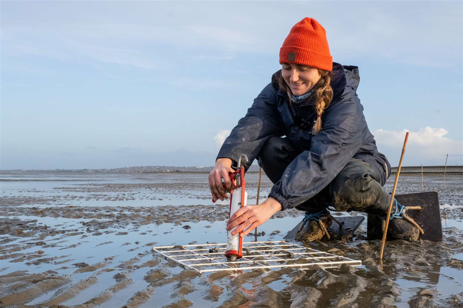 Seagrass seed planting at Seasalter. Picture: ZSL