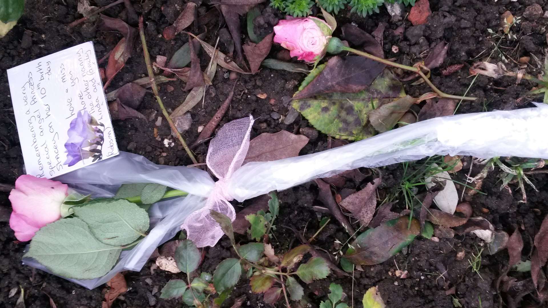A single pink rose, Stacey's favourite, from actress Linda Robson was among the floral tributes