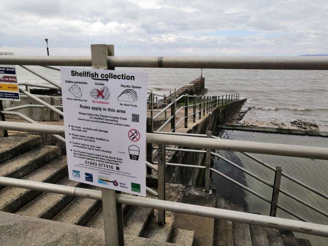 Signs at Western Undercliff in Ramsgate. Picture: Wildlife Conservation in Thanet