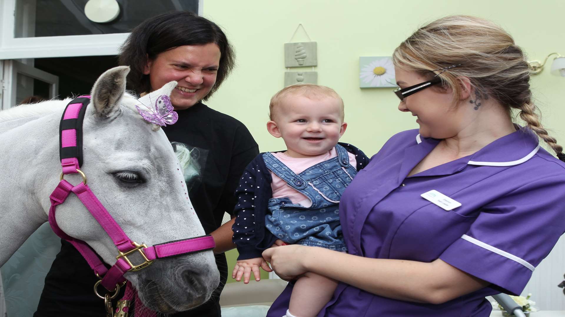 Lyn Blight, Owner of Causeway Pony Parties with "Tere" a 17 year old Welsh Mountain Cross and 16-month-old Amelia Smith with mum, Shannon enjoying the pony's visit to The Hollies Residential Care Home.