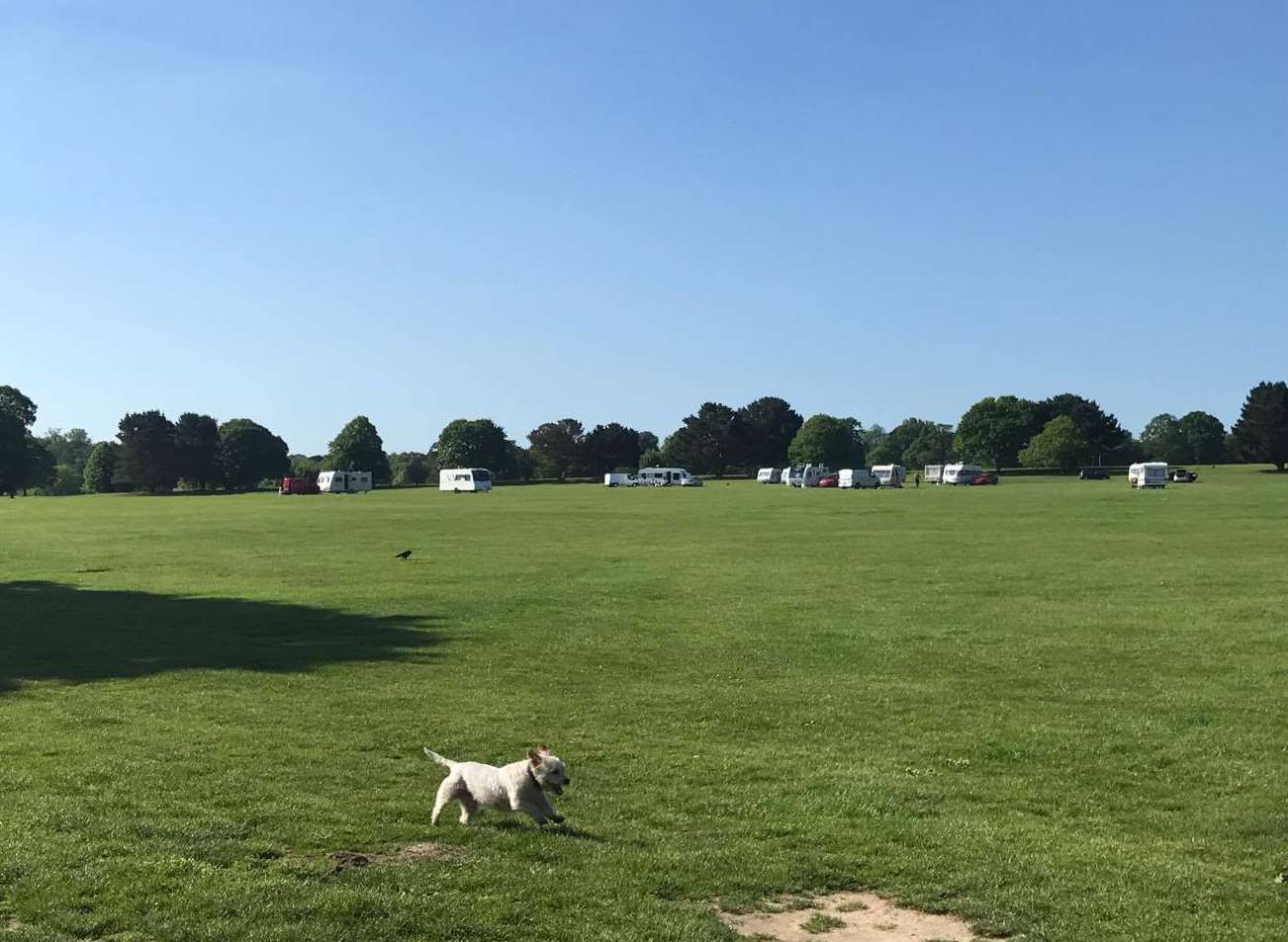 Travellers on the green. Picture: Charlene Reed.