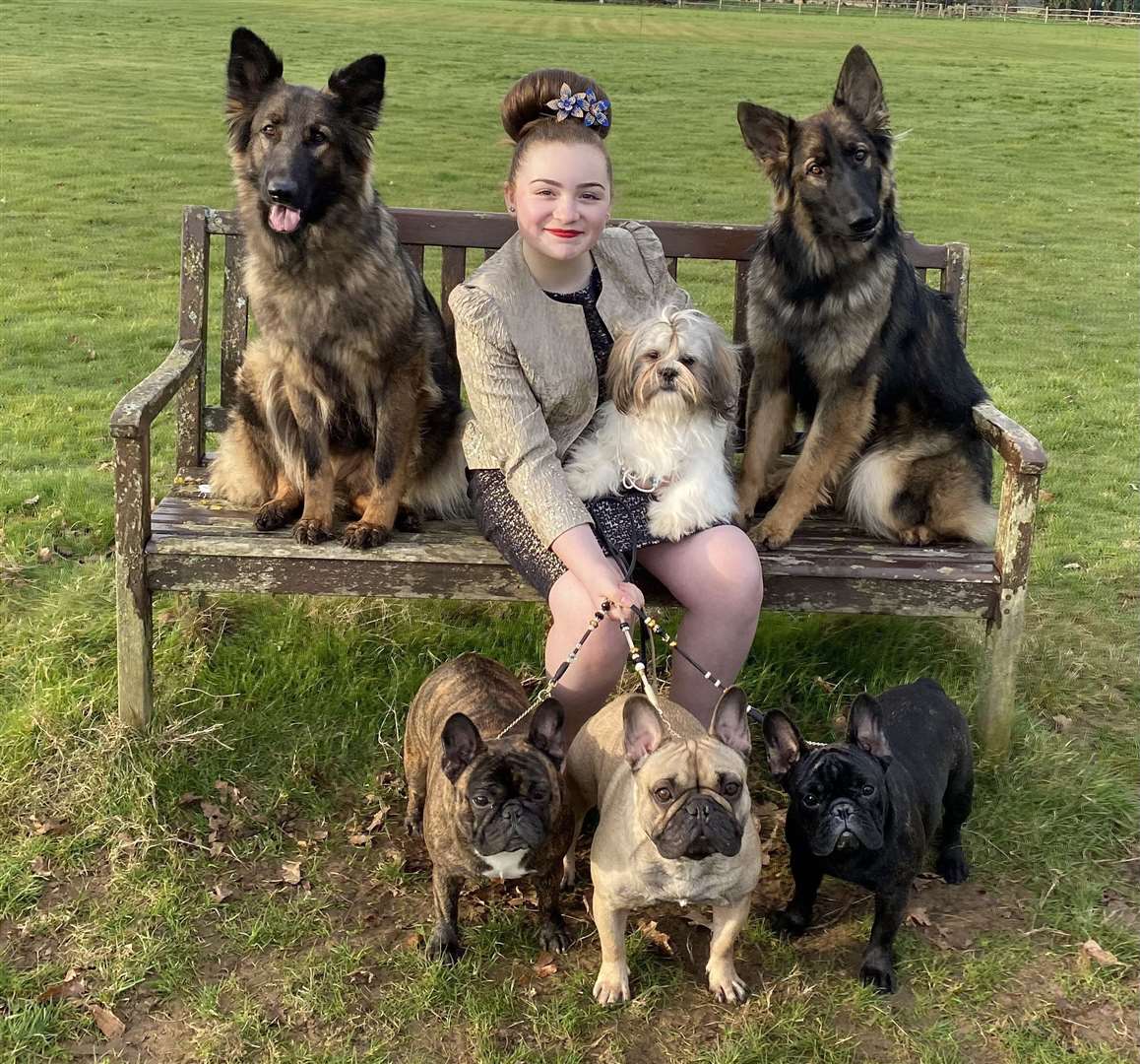 Ellissia East-Hickman from Marden with the 6 dogs she will be showing at Crufts - German Shepherds Sheera, left, and Sable, right, Shih Tzu Pebbles, French Bulldogs Nala, left, and Cymbar, middle, and Voodoo , to the right.  Photo: Animal News Agency