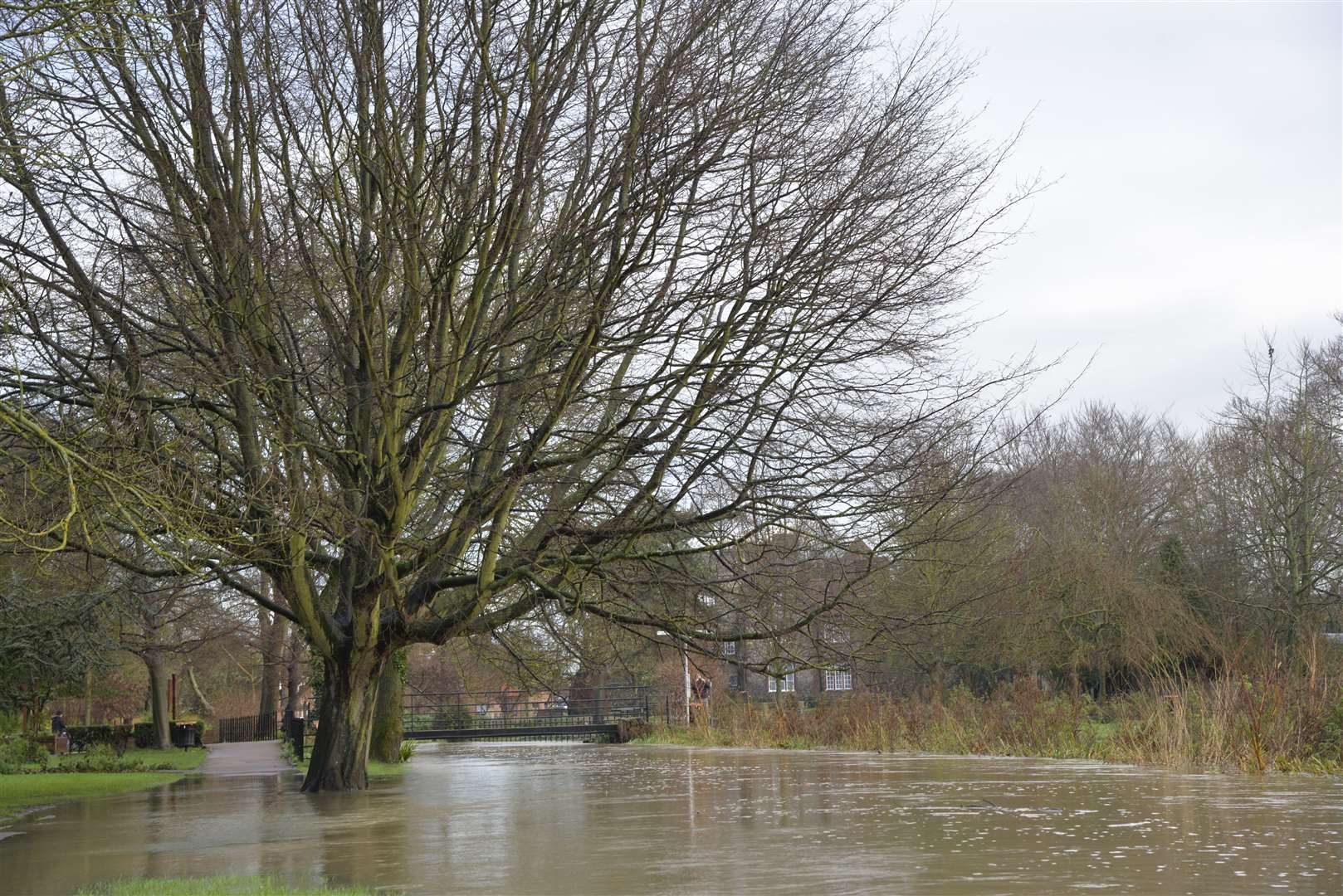 Flooding in the Westgate Gardens, Canterbury, this week