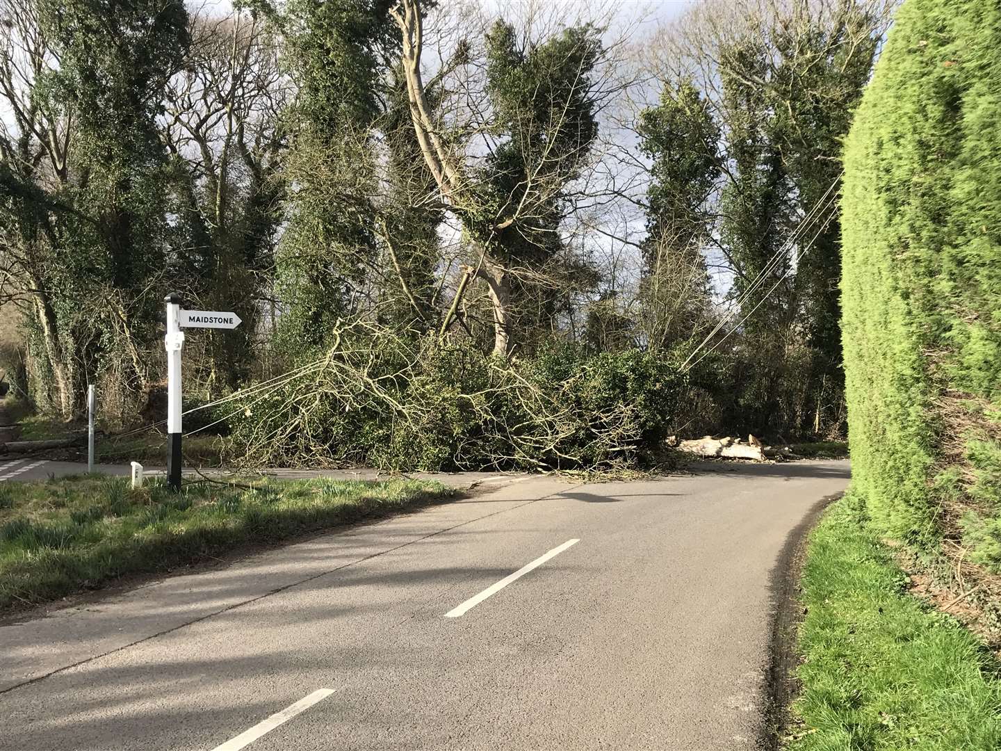 Tree falls have shut many roads across the county: Picture: John Clark