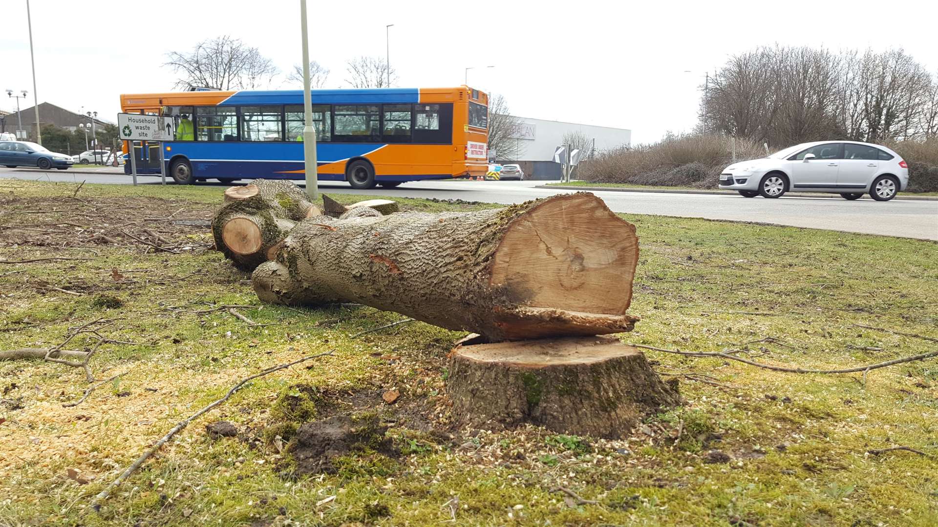 Trees were cut down along Chart Road in 2018 but work on the dual carriageway won't start until at least 2022