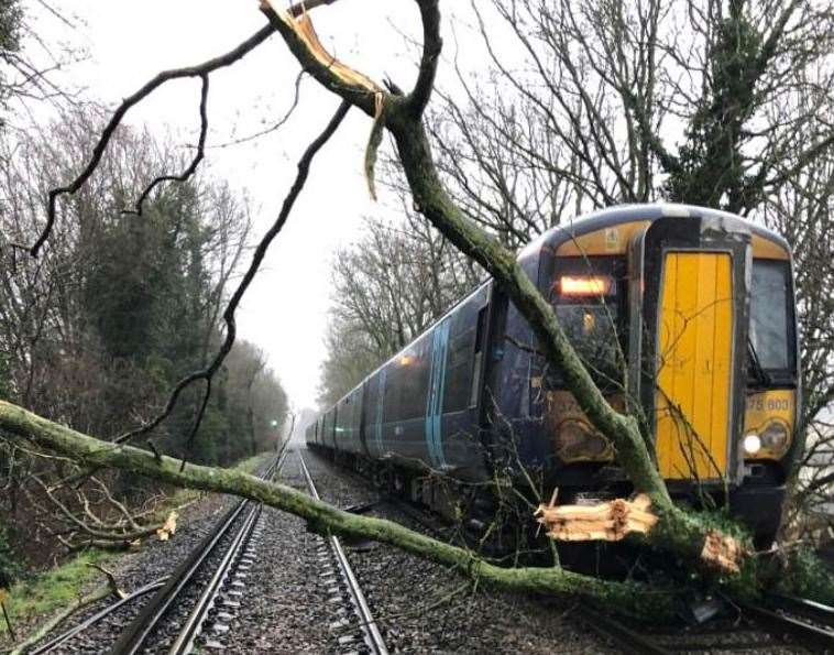 The train came to a halt after hitting a tree which had fallen on the line. Picture: Network Rail