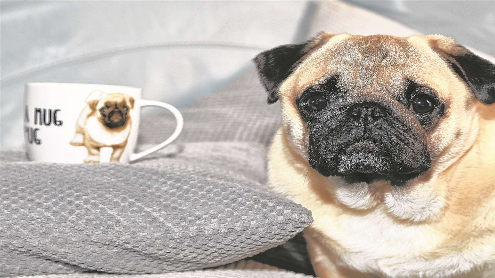Frank, next to the mug bearing his image. Picture: Ruth Cuerden