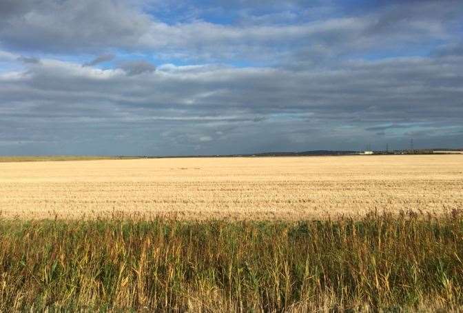 Graveney marsh, where Britain's biggest solar farm could be built