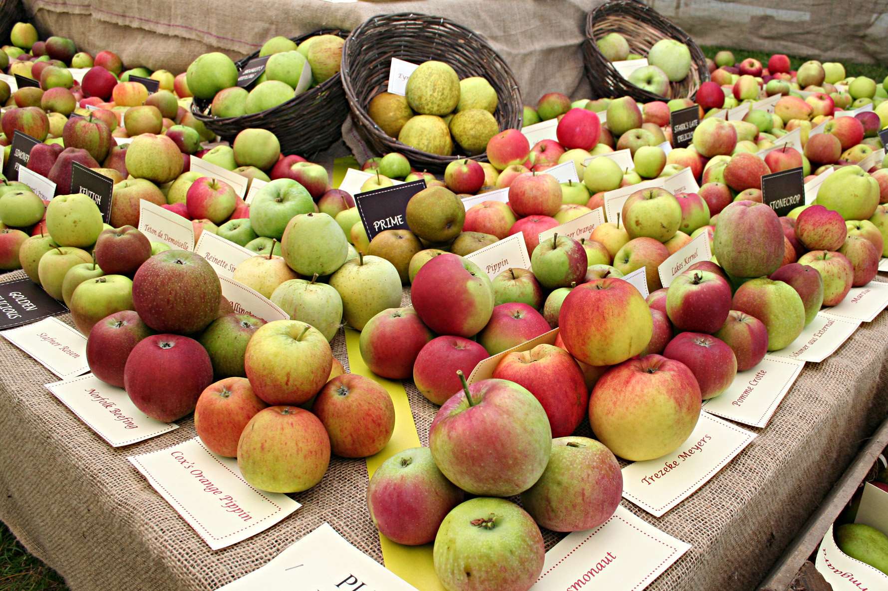 Brogdale's Apple Festival is the attraction's biggest event of the year