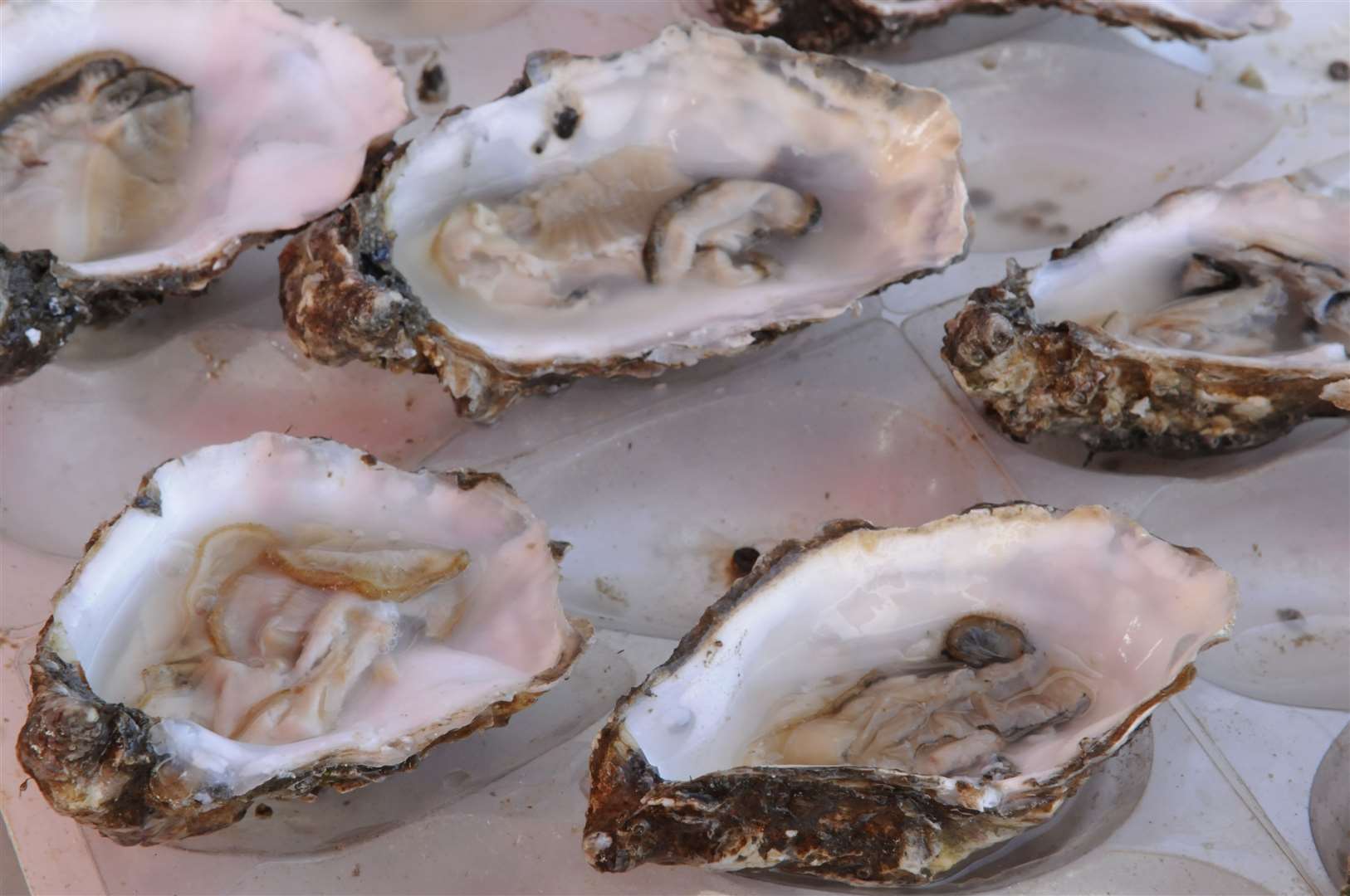 At least 100 people reportedly fell ill after eating oysters
