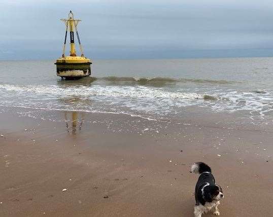 The buoy in Dumpton Gap, Broadstairs. Picture: Rogan Montgomery-Smith