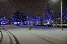 Bluewater on Thursday evening