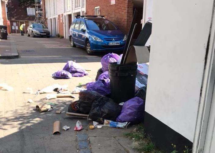 Several bin bags piled up in Cobden Place in July. Picture: Beverley Paton (7265872)