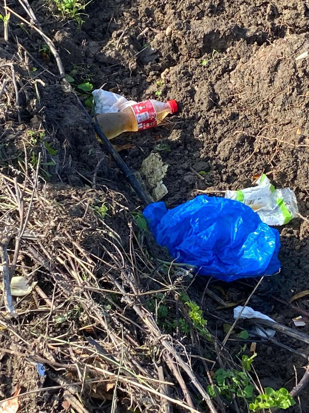 What appears to be urine in a bottle dumped by the roadside. Picture: Hoo St Werburgh Parish Council