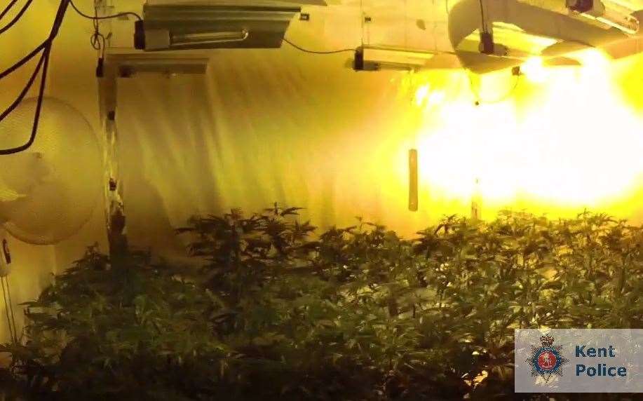 A weed farm was discovered by police in St Andrews Road, Gillingham on Wednesday, July 24