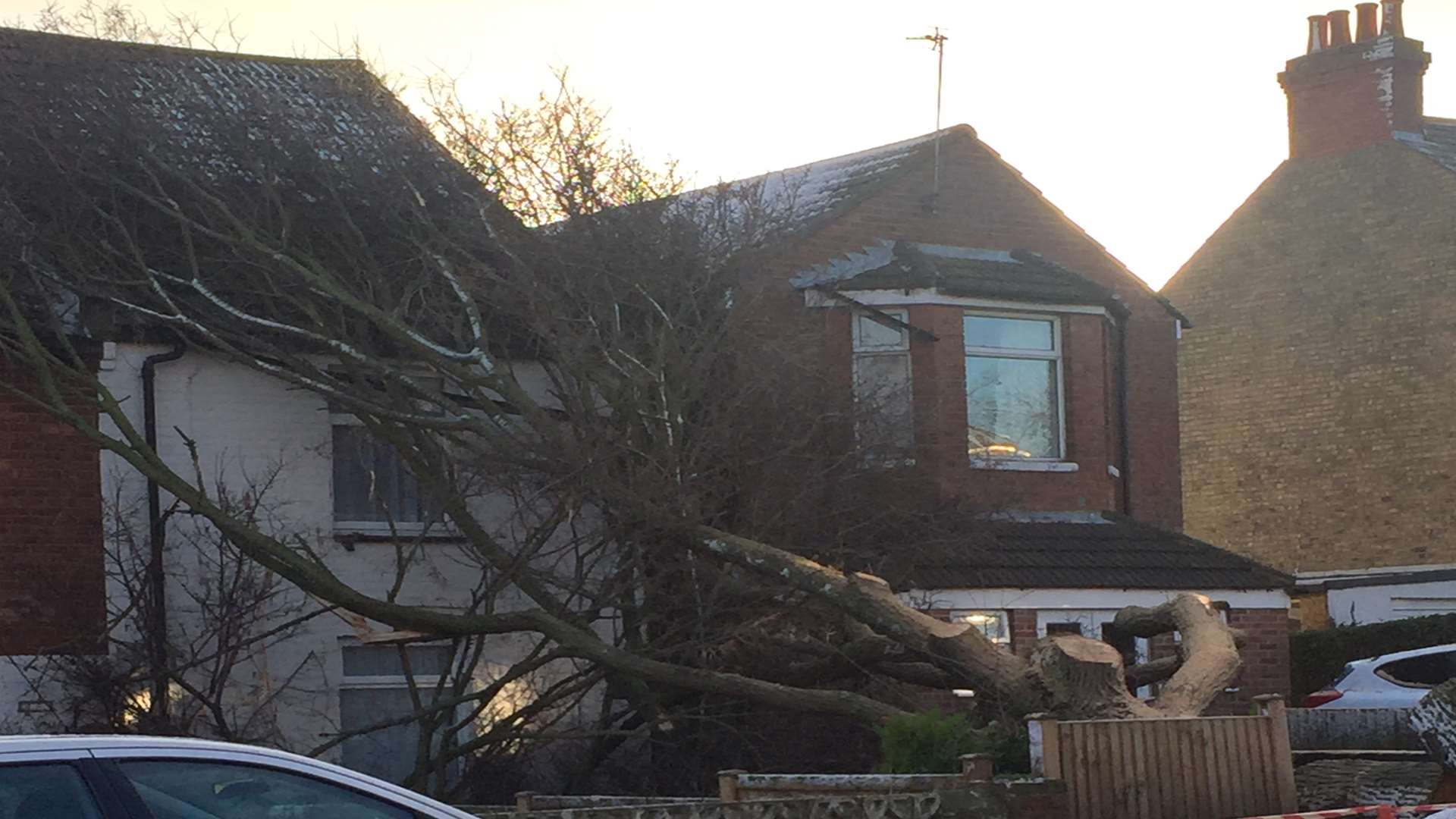The tree fell backwards onto a house in Stanley Road.