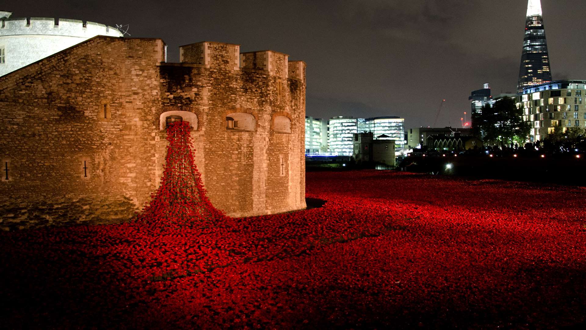 The brilliant poppy display at the Tower of London