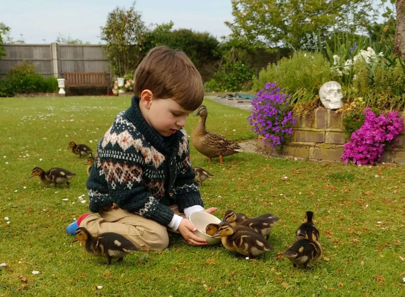 Carmen Long couldn't resist snapping three-year-old grandson Lucas as he fed ducklings in the garden of her home in Littlebourne Road, Canterbury