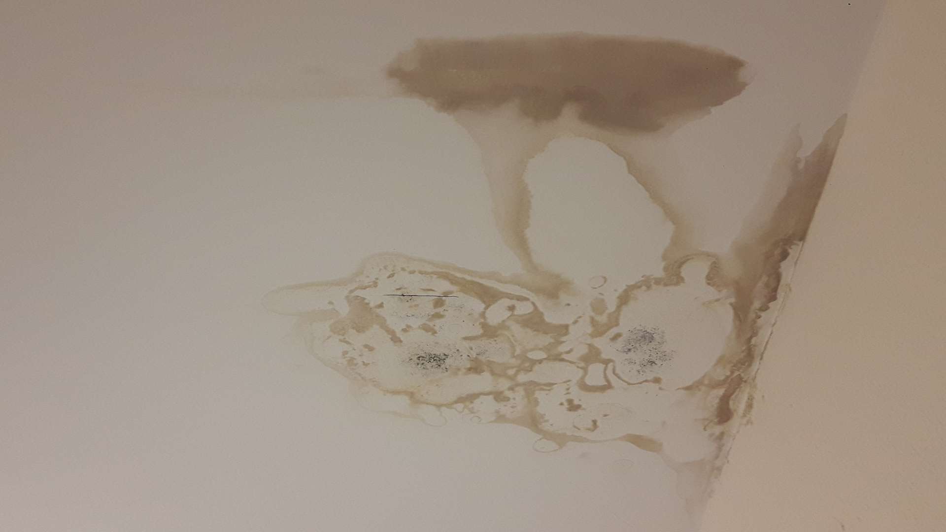 A stain on a wall