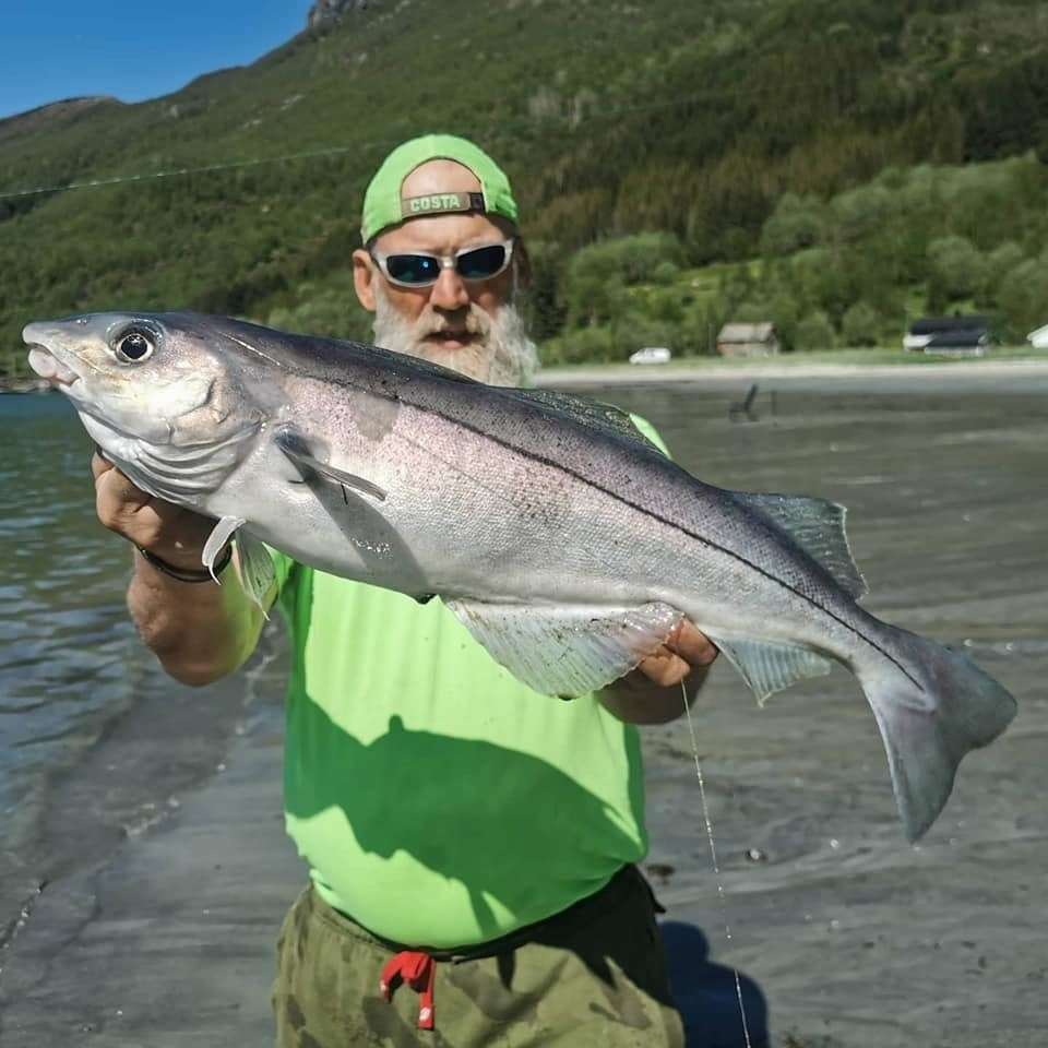 St Marys bay angler David Wood Brignall with fish caught from outside his lodge in Norway (36732607)