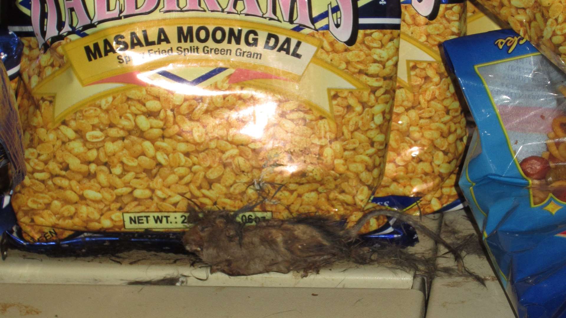 Rotting mouse corpse discovered in beans