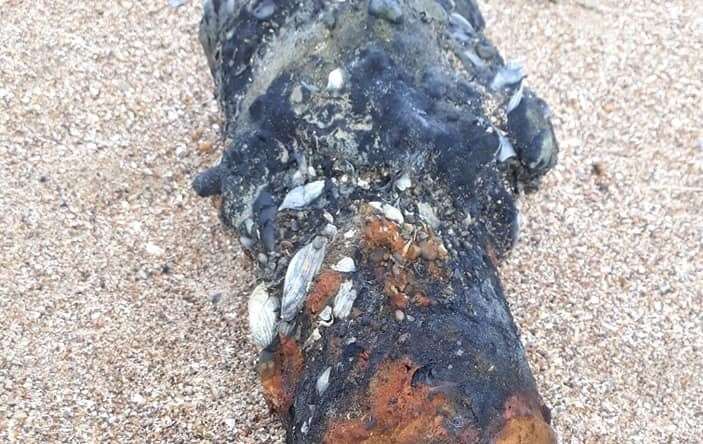 The artillery shell found at Sandwich Bay Picture: Tony Ovenden