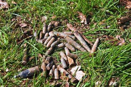 Part of the cache of bullets dug up in Mote Park, Maidstone, when volunteers were planting trees