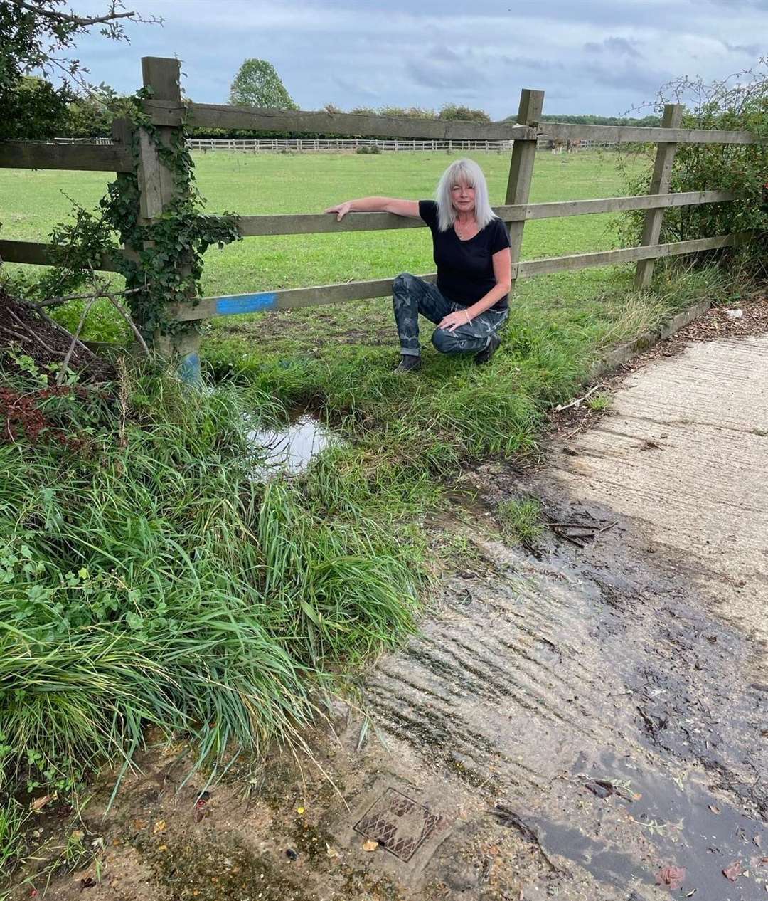 Dawn Aldwinckle is calling for action to fix the leak in Meopham