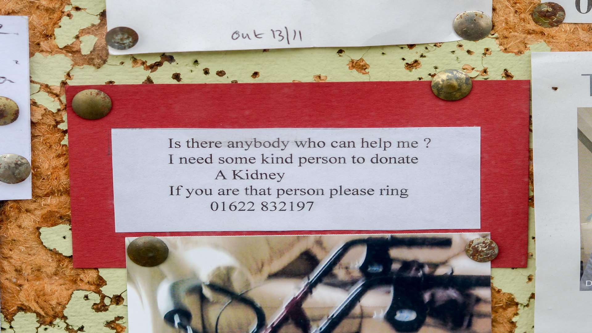 The plea has been placed on a notice board in Marden. Picture: SWNS