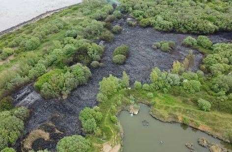 The aftermath of the fire in woodland near West Lane, isle of Grain. Picture: Adam Ogden